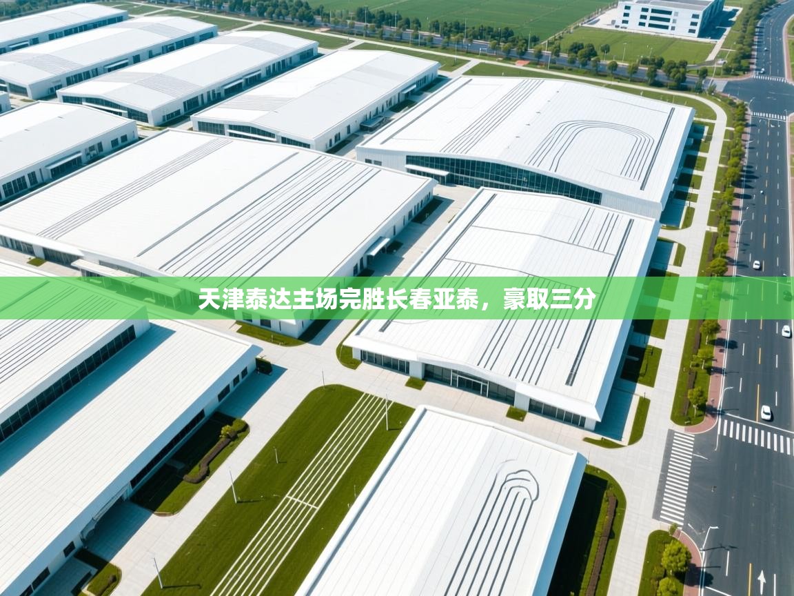 天津泰达主场完胜长春亚泰，豪取三分