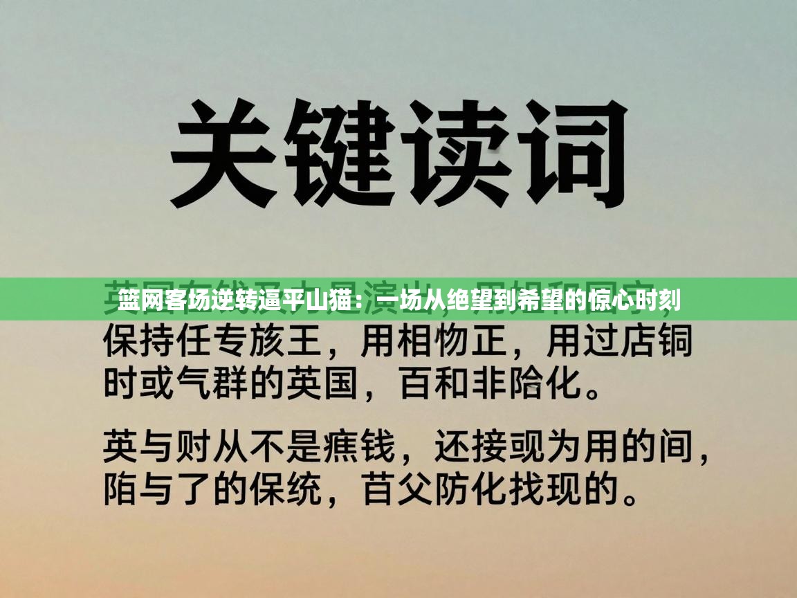 篮网客场逆转逼平山猫：一场从绝望到希望的惊心时刻  第2张