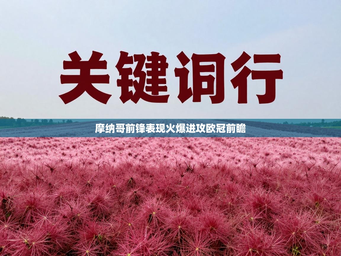 摩纳哥前锋表现火爆进攻欧冠前瞻